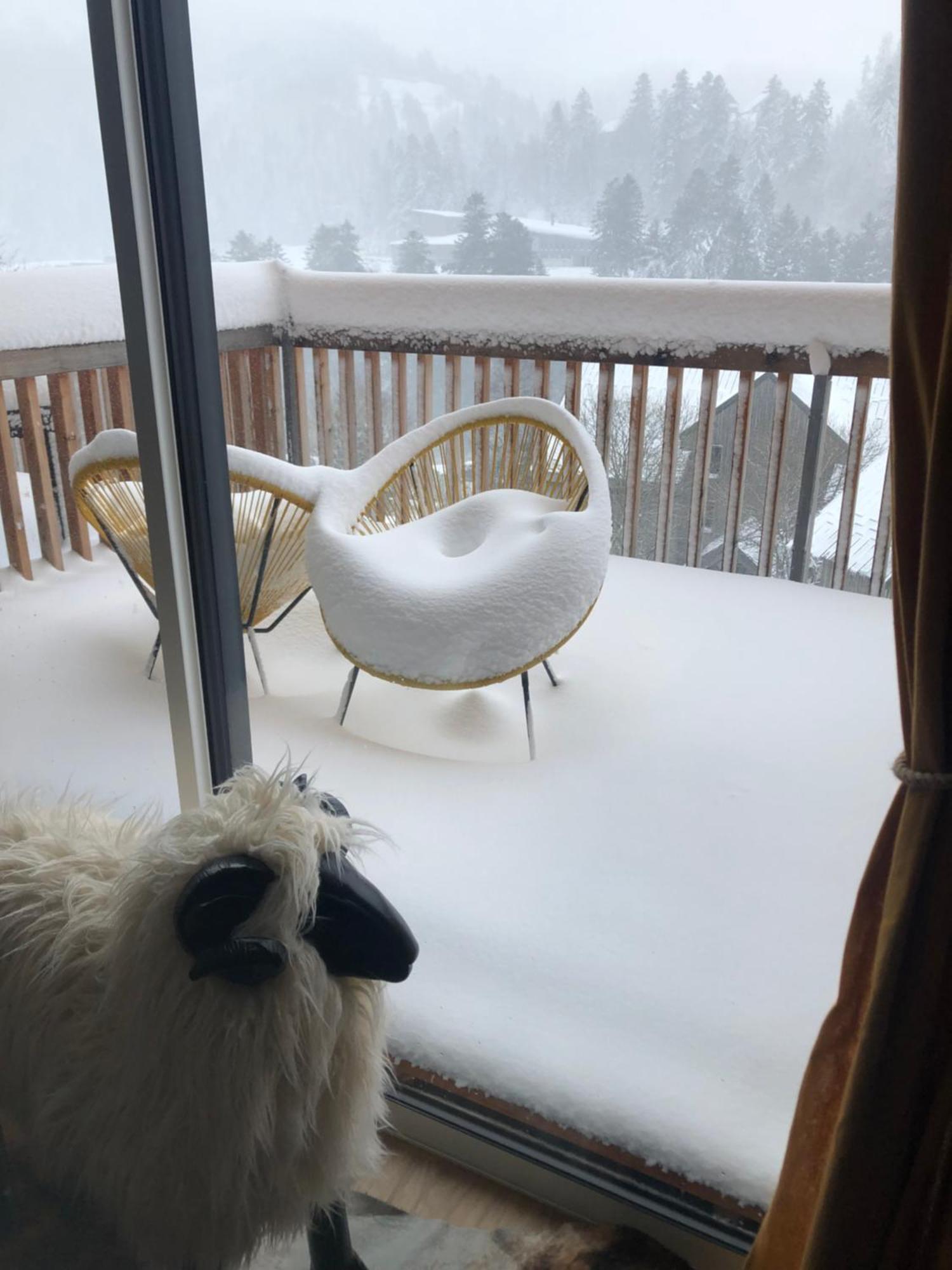 Appartement Aux Pieds Des Pistes De Ski Laveissière Exterior foto